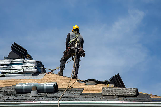 Professional Storm Damage Roof Repair technician working in Walnut, IL